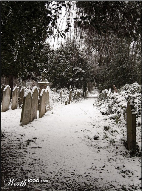 Photography by lennyegg