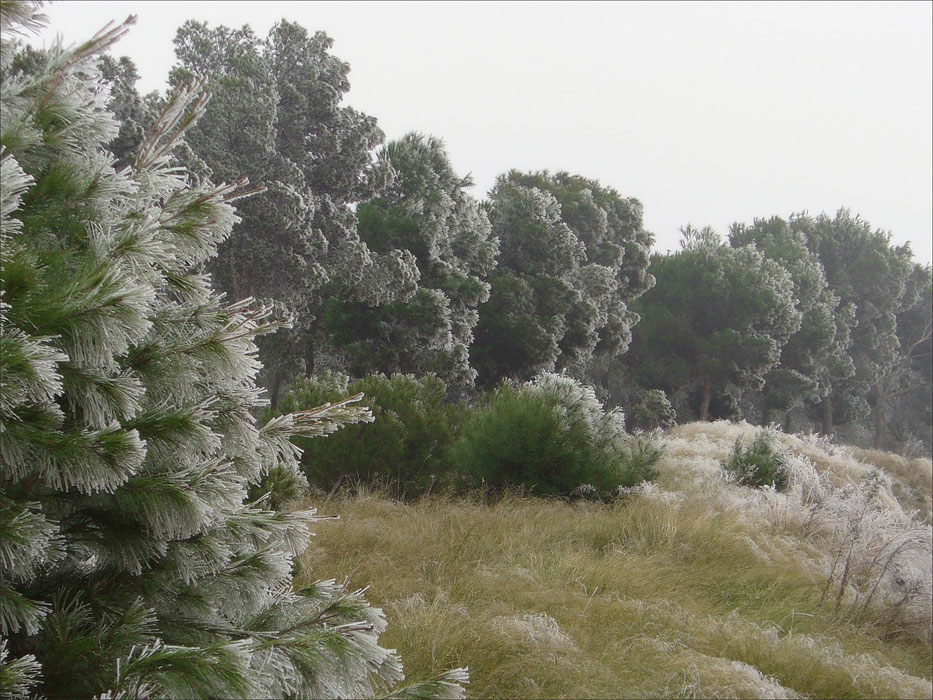 Photography by IsleofJura for DesignCrowd (Community Contests) | Design #9027495