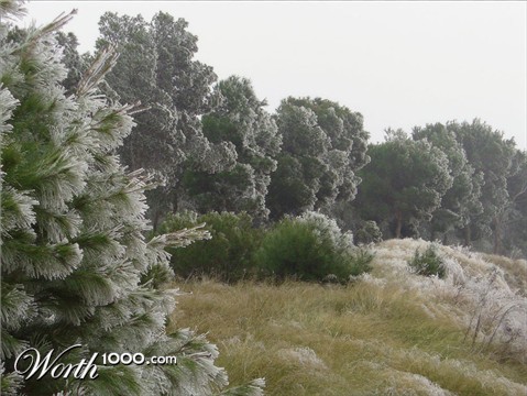 Photography by IsleofJura