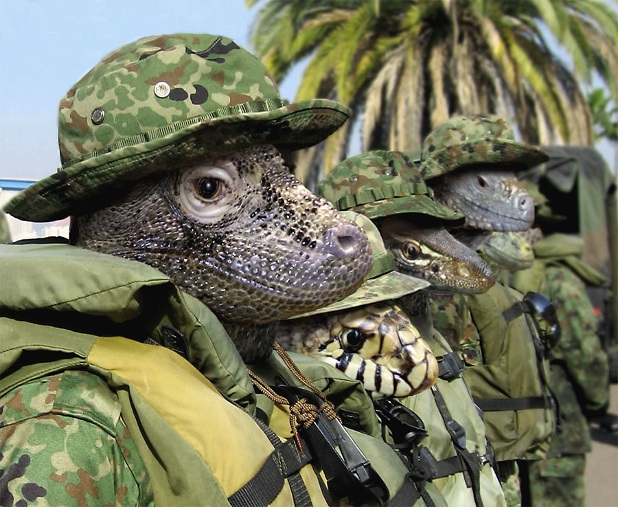 Photoshop Design by ozplasmic for DesignCrowd (Community Contests) | Design #9016160