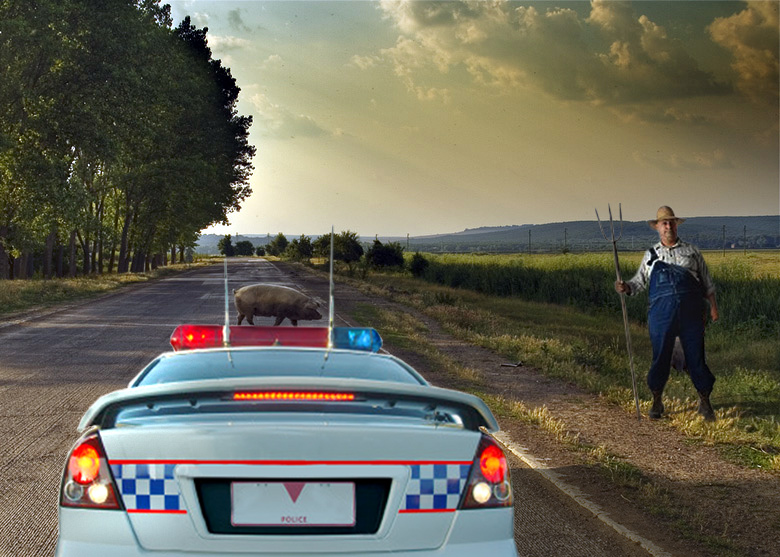 Photoshop Design by Pixelicious for DesignCrowd (Community Contests) | Design #9026366