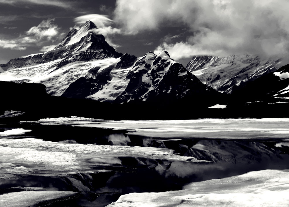 Photographie par Ritu26 pour DesignCrowd (Community Contests) | Design #9027529