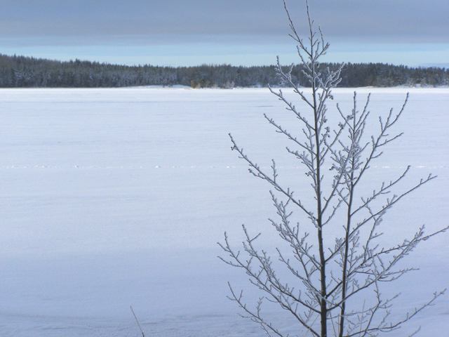 Fotografía por Tool47 para DesignCrowd (Community Contests) | Diseño #9027538