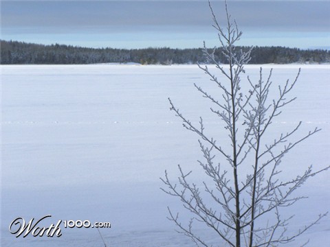 Photography by Tool47