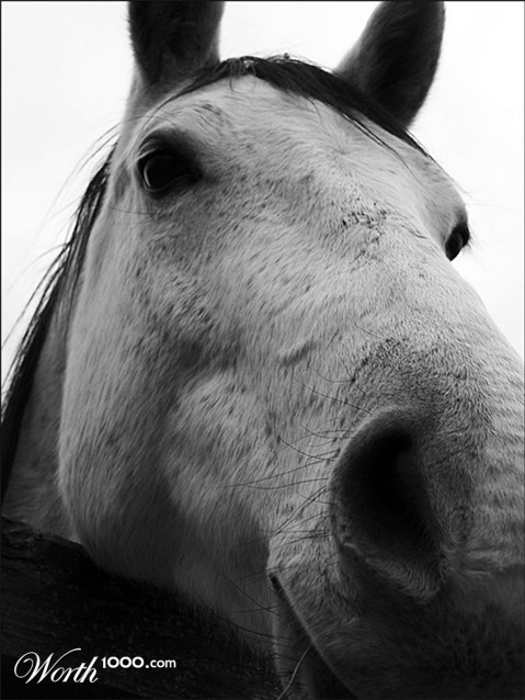 Photography by pixel8r