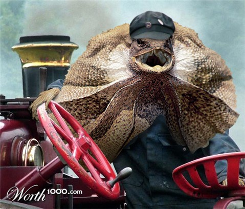 Photoshop Design by Deborahb