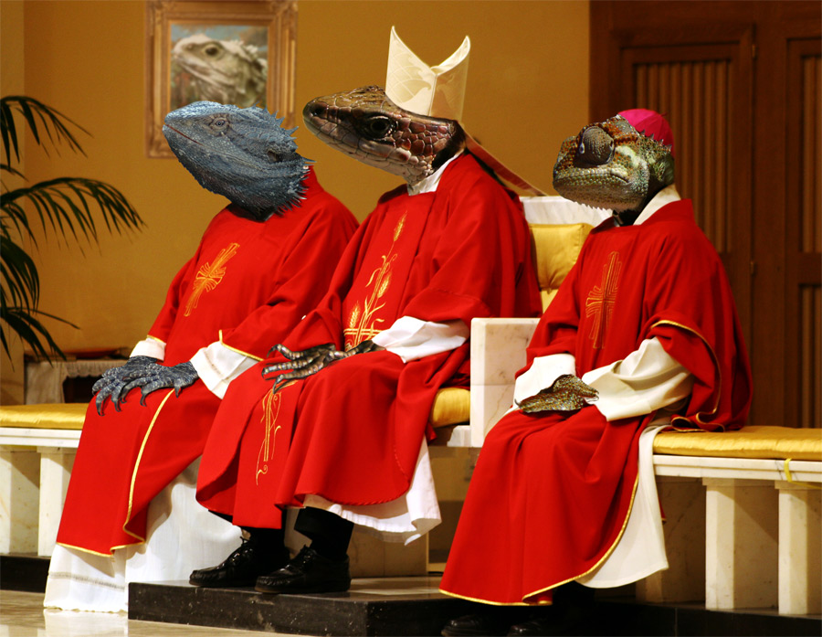 Design Photoshop par Vinetta pour DesignCrowd (Community Contests) | Design #9016263