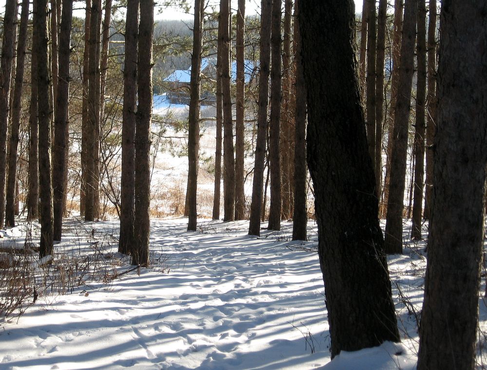 Photography by spincast1123 for DesignCrowd (Community Contests) | Design #9027599