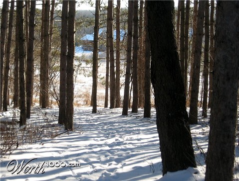 Photography by spincast1123