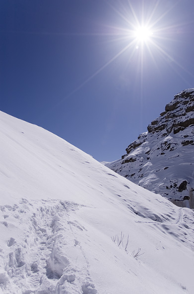 Photography by Payami for DesignCrowd (Community Contests) | Design #9027699