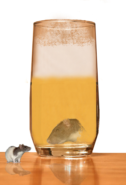 Photoshop Design by ManjushaVO for DesignCrowd (Community Contests) | Design #9026434