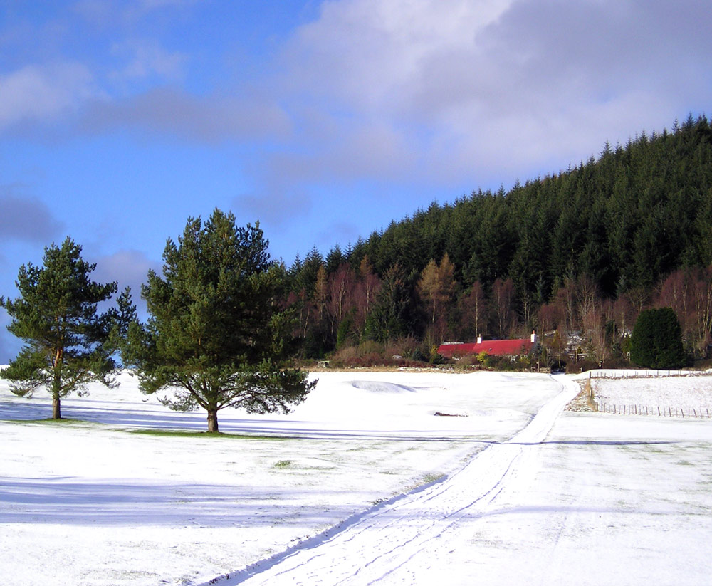 Photographie par Massie pour DesignCrowd (Community Contests) | Design #9027628