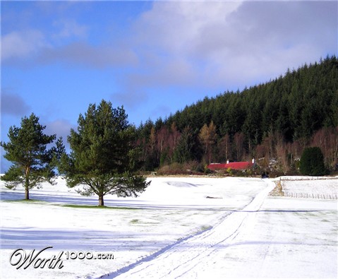 Photography by Massie