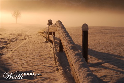 Photography by cyanidenkat