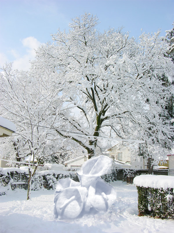 Design Photoshop par ellall pour DesignCrowd (Community Contests) | Design #9026297