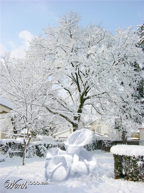 Photoshop Design by ellall