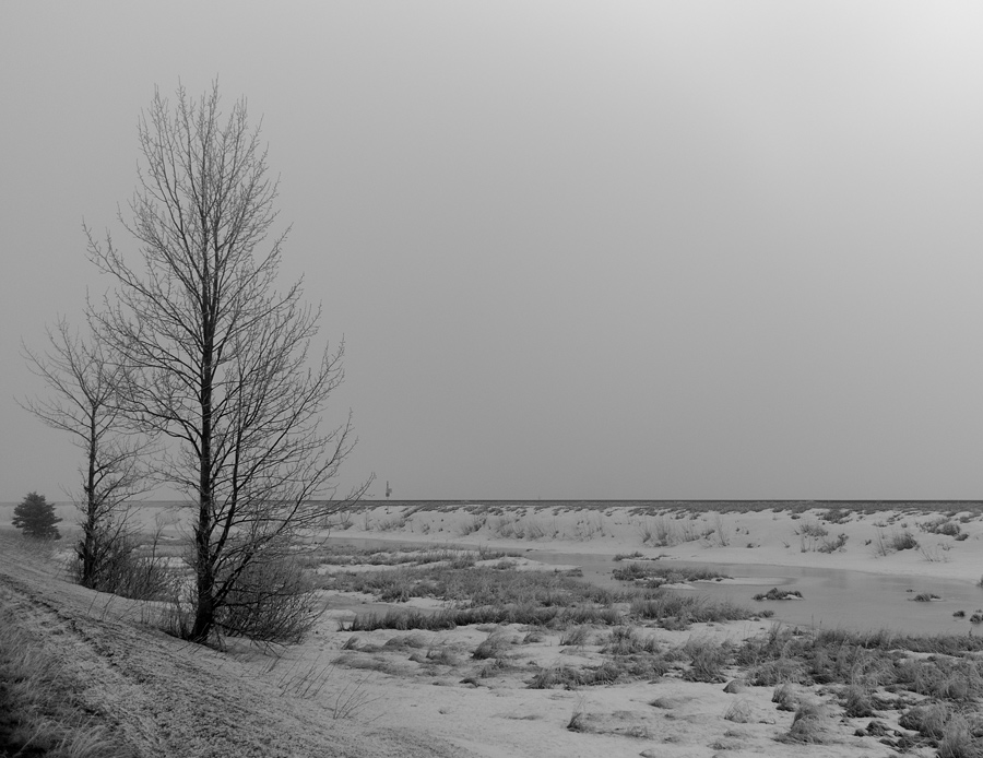 Photography by georgethedog for DesignCrowd (Community Contests) | Design #9027635