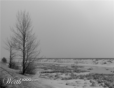 Photography by georgethedog