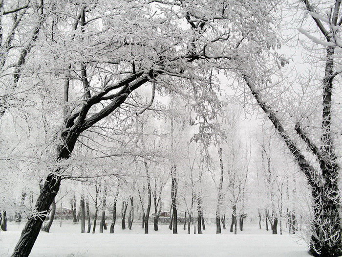 Fotografie von mzmzmzmz für DesignCrowd (Community Contests) | Design #9027592