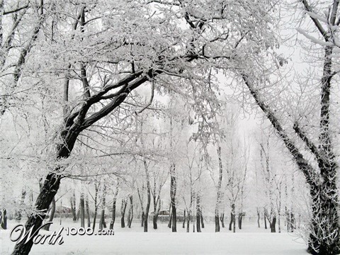 Photography by mzmzmzmz