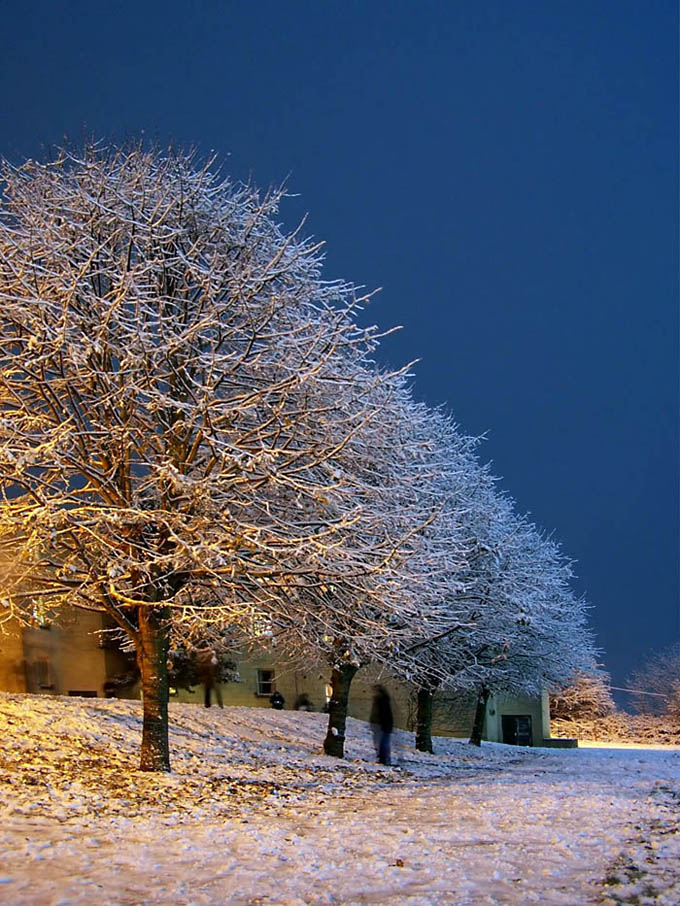 Photographie par TotalDomination pour DesignCrowd (Community Contests) | Design #9027606