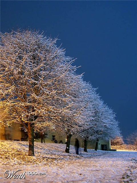 Photography by TotalDomination