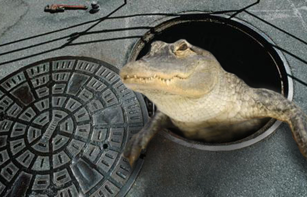 Photoshop Design by RachelB for DesignCrowd (Community Contests) | Design #9026475