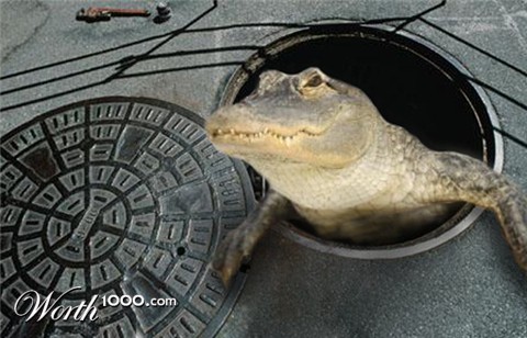 Photoshop Design by RachelB