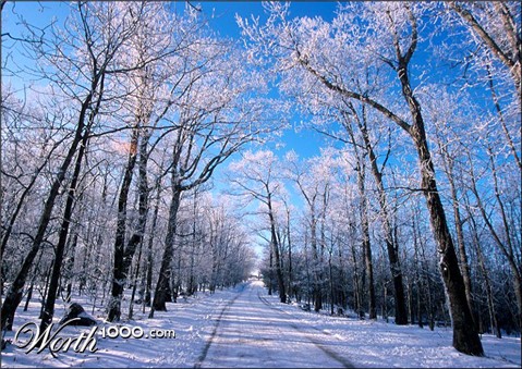 Photography by MisterSir