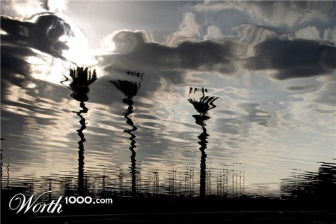 Photography by aridolan