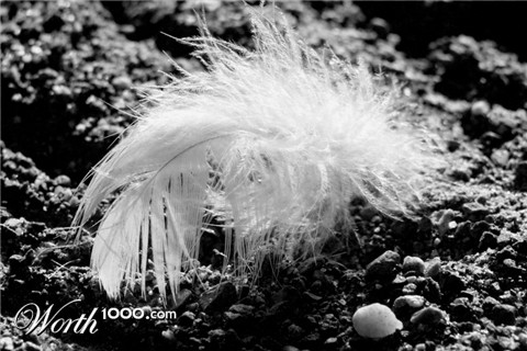 Photography by zchendar