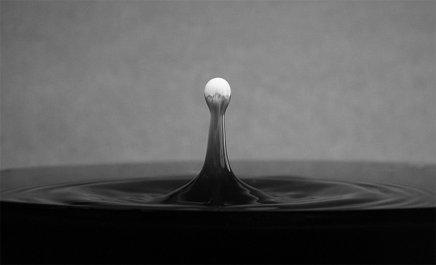 Fotografía por Bassfrosch para DesignCrowd (Community Contests) | Diseño #9021184