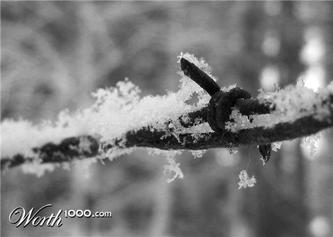 Photography by pykeman