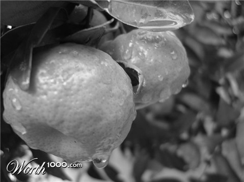 Photography by chrisulloa