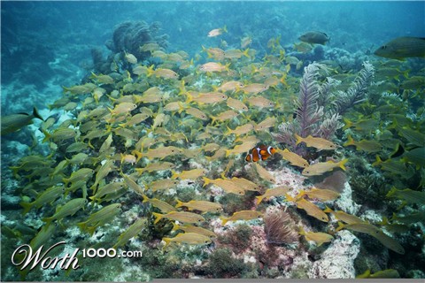 Photoshop Design by voodoojane