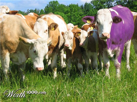 Photoshop Design by milkjunkie