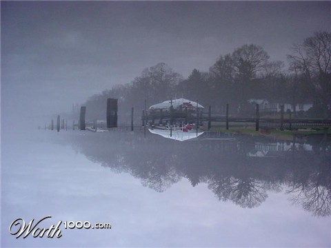 Photography by tweetybirdfan222