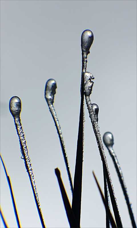 Photography by IsleofJura for DesignCrowd (Community Contests) | Design #9024088