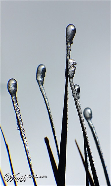 Photography by IsleofJura