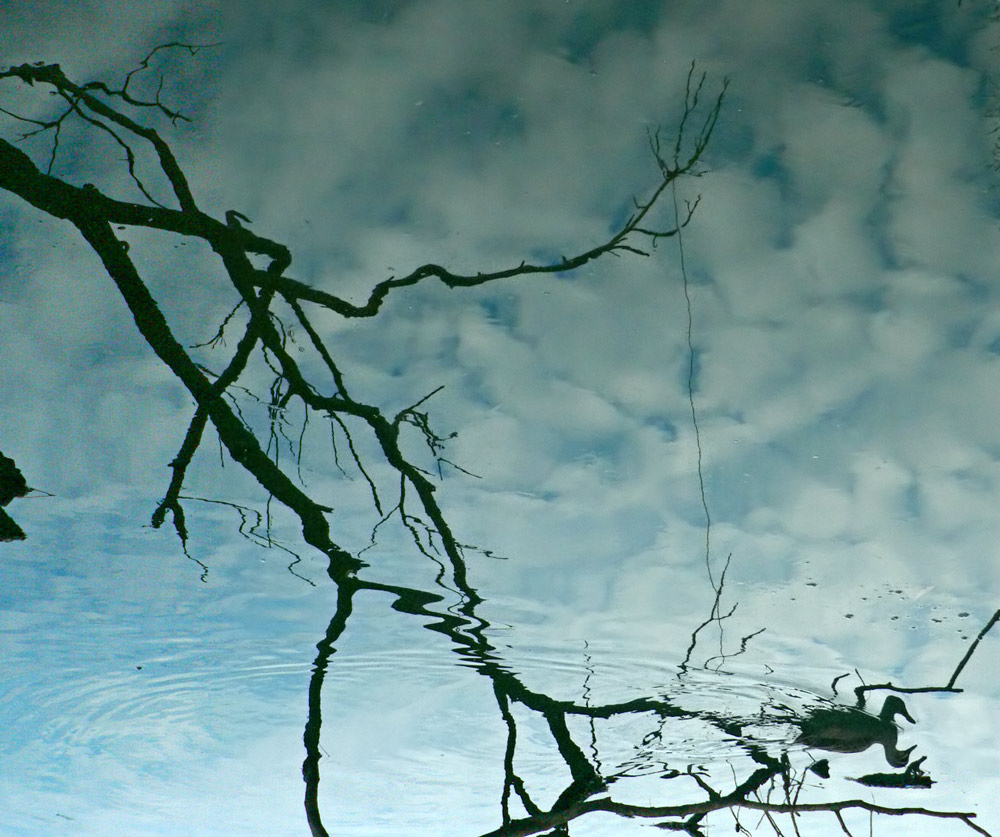 Fotografía por gymp93 para DesignCrowd (Community Contests) | Diseño #9024090