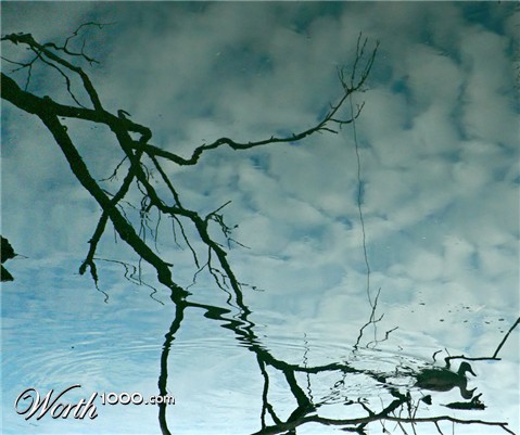 Photography by gymp93