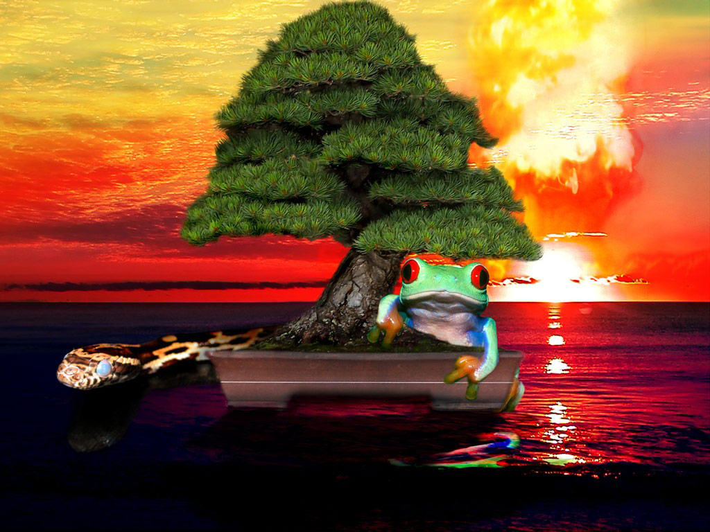 Photoshop Design by XXBBCXX for DesignCrowd (Community Contests) | Design #9023324