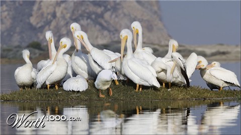 Photoshop Design by underworth