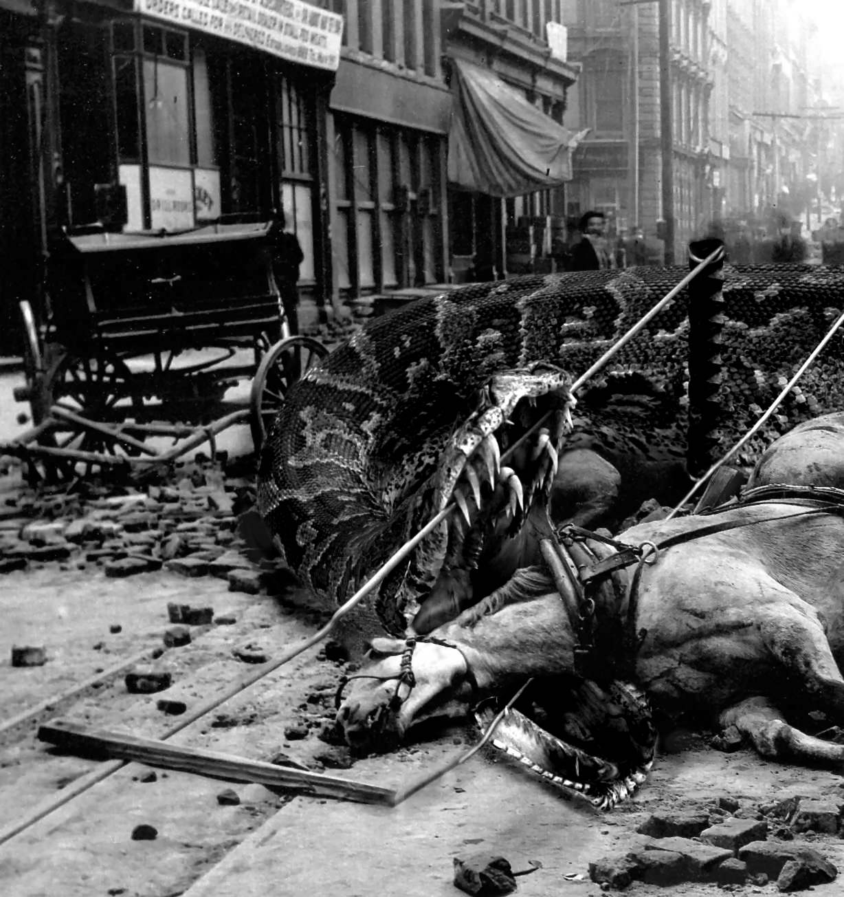 Photoshop-Design von Hobbit90 für DesignCrowd (Community Contests) | Design #9023290