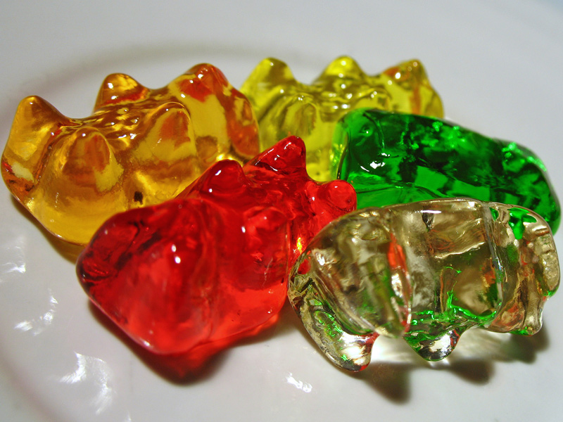 Photography by jersalv1 for DesignCrowd (Community Contests) | Design #9017693