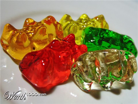 Photography by jersalv1