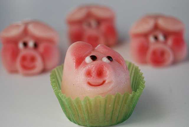 Photography by robinsphotos for DesignCrowd (Community Contests) | Design #9017665