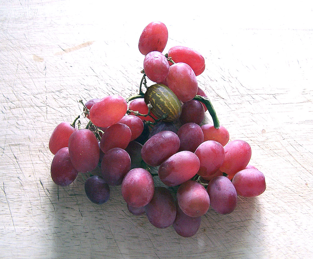 Photoshop-Design von RickLaMesa für DesignCrowd (Community Contests) | Design #9021394