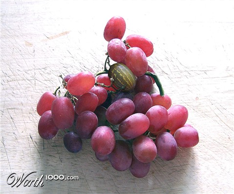 Photoshop Design by RickLaMesa