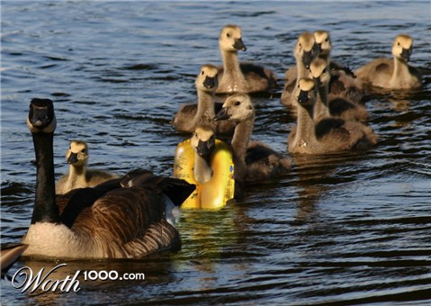 Photoshop Design by dubhhole